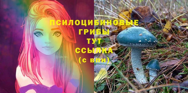 apvp Белоозёрский