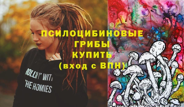 винт Белокуриха