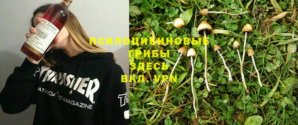 винт Белокуриха