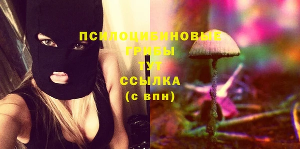 apvp Белоозёрский
