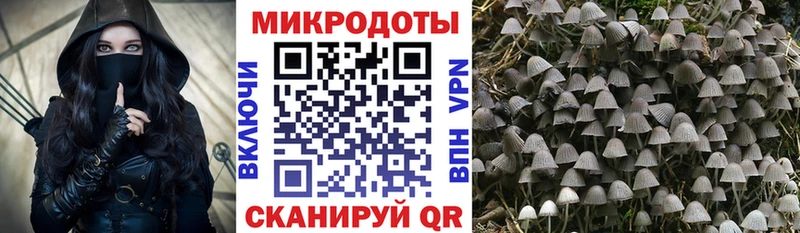 Псилоцибиновые грибы мухоморы  купить наркотик  Электросталь 